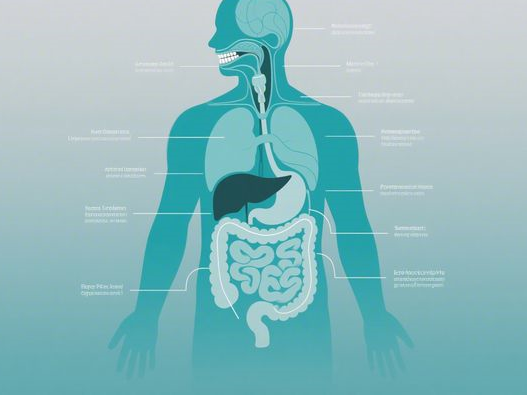 黄仁勋为何拜访张忠谋？家宴细节揭示科技巨头合作真谛