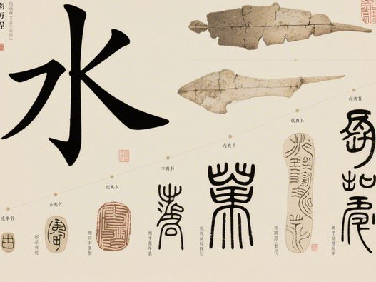 龟苓膏里面有乌龟的成分吗_用什么龟制作_2025揭秘