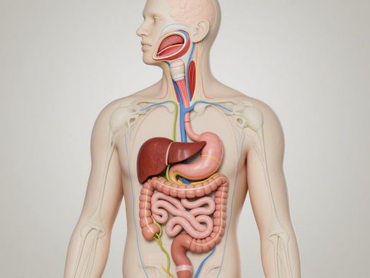 黄铜米缸使用禁忌_常见误区解析_正确摆放与养护指南