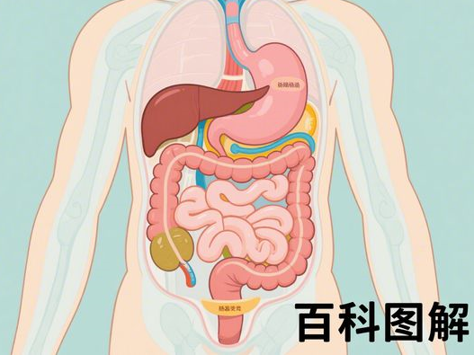 黄金涨跌对股市有没有影响2025