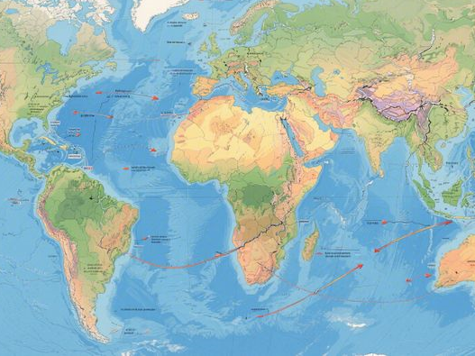 黑米和紫米哪个更有营养_2025年营养对比_3招科学选择