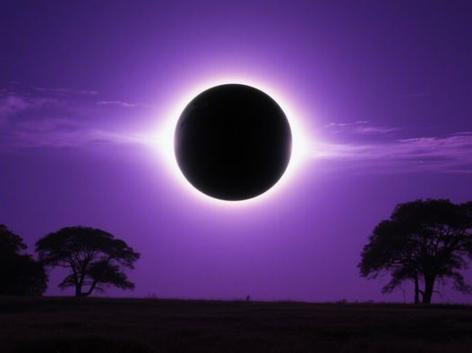 黑米和紫米哪个更有营养_2025年营养对比_3招科学选择