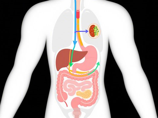 龙芯重磅发布新一代处理器，性能追平10代酷睿