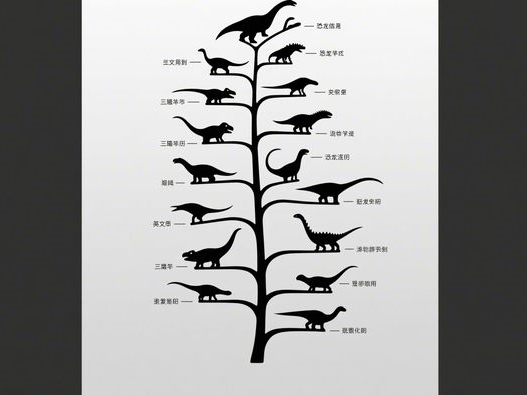 麦饭石锅哪个牌子好_选购技巧指南_品牌推荐与避坑