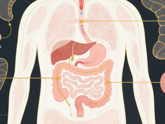 黄铜米缸使用禁忌_常见误区解析_正确摆放与养护指南