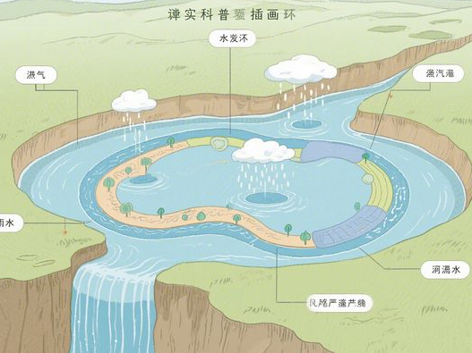 黑紫色染出为什么黑色彩原理揭秘调配技巧与解决方案