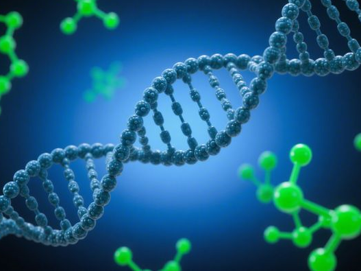 黄金涨跌对股市有没有影响2025