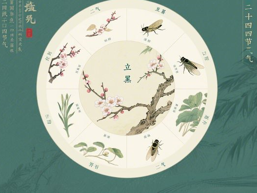 黑蒜一天吃几个合适_不同人群食用量_科学食用指南