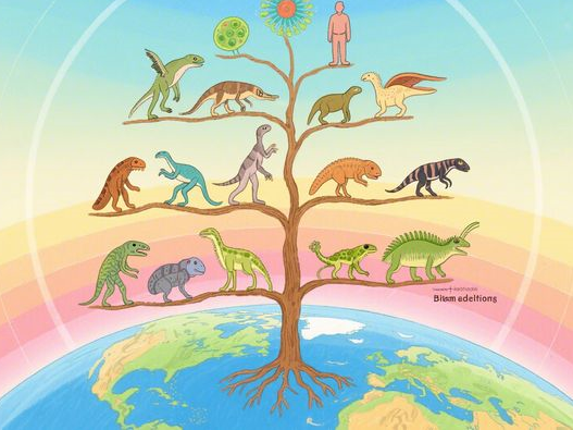 黑曜石佩戴禁忌_女生必看指南_5大注意事项与正确方法