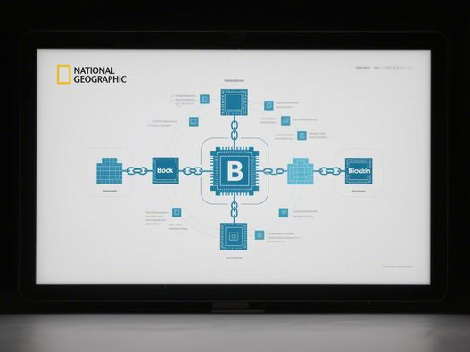 黄铜米缸使用禁忌_常见误区解析_正确摆放与养护指南