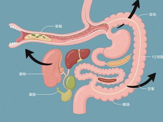 黑芝麻粉什么时间吃最好_早晚食用指南_提升吸收效率秘诀