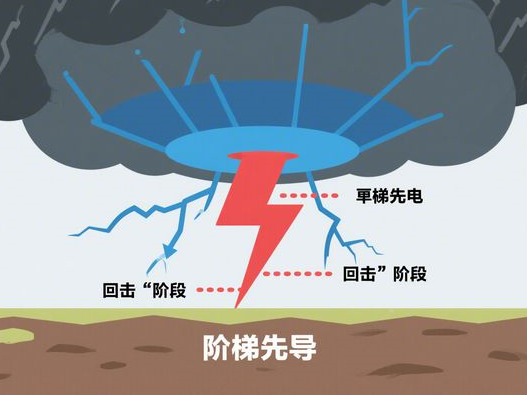黑美人瓜比较硬能不能吃_判断生熟技巧_2025实用指南