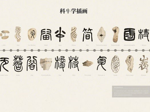 黑美人瓜比较硬能不能吃_判断生熟技巧_2025实用指南