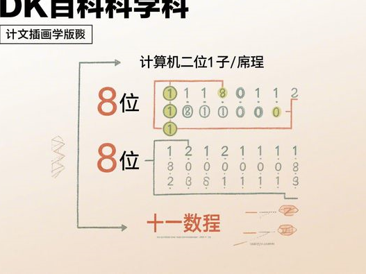 黑芝麻粉什么时间吃最好_早晚食用指南_提升吸收效率秘诀