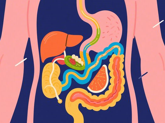 黑美人西瓜有问题吗_安全食用疑虑_挑选与处理全指南