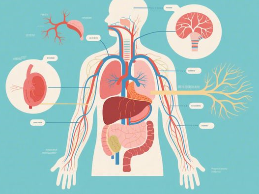 黑美人瓜比较硬能不能吃_判断生熟技巧_2025实用指南