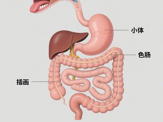 黑美人西瓜什么时候成熟_上市时间揭秘_选购品尝全攻略