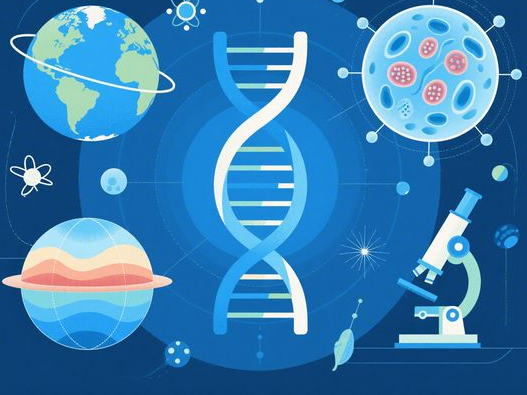 黑蒜一天吃几个合适_不同人群食用量_科学食用指南