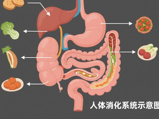 黑蒜一天吃几个合适_不同人群食用量_科学食用指南
