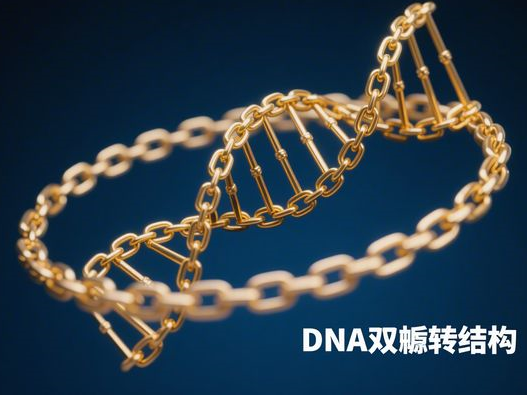 黄仁勋为何拜访张忠谋？家宴细节揭示科技巨头合作真谛