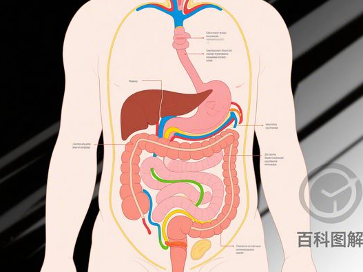 黄仁勋访华为何获特朗普祝福？中美科技合作背后的商业考量