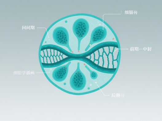 黑芝麻粉什么时间吃最好_早晚食用指南_提升吸收效率秘诀