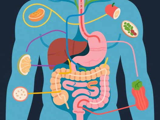 黑蒜一天吃几个合适_不同人群食用量_科学食用指南