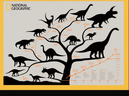 黑蒜一天吃几个合适_不同人群食用量_科学食用指南