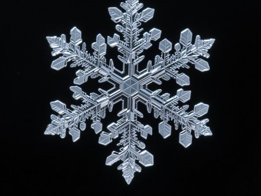 黑美人瓜比较硬能不能吃_判断生熟技巧_2025实用指南