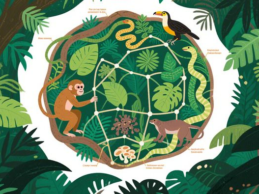 黑蒜一天吃几个合适_不同人群食用量_科学食用指南