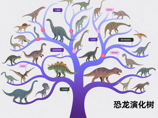 黑美人西瓜什么时候成熟_上市时间揭秘_选购品尝全攻略