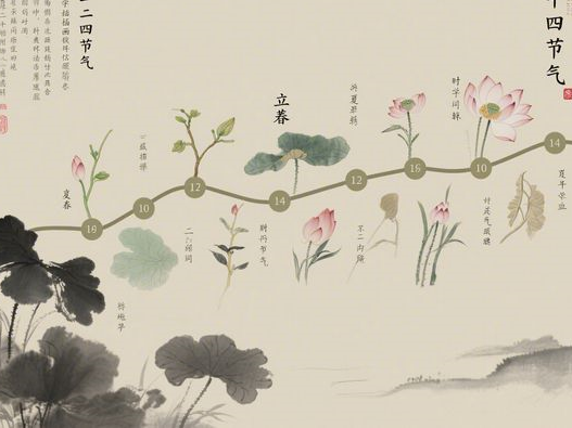 黑芝麻粉什么时间吃最好_早晚食用指南_提升吸收效率秘诀