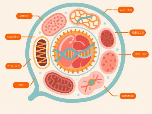 龙芯重磅发布新一代处理器，性能追平10代酷睿