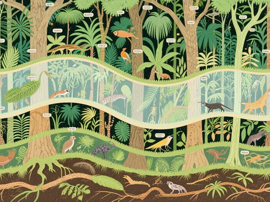 黑曜石佩戴禁忌_女生必看指南_5大注意事项与正确方法