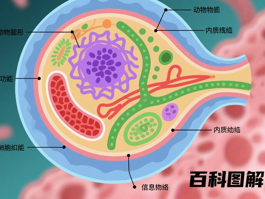 成都眼部整形医院前五榜单重磅发布！