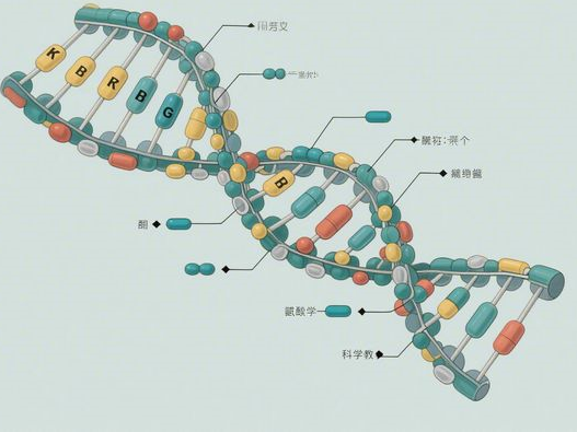龟苓膏里面有乌龟的成分吗_用什么龟制作_2025揭秘