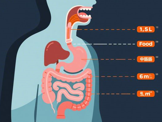 黄仁勋如何兑现造富宣言？英伟达亿万富翁名单与财富创造策略