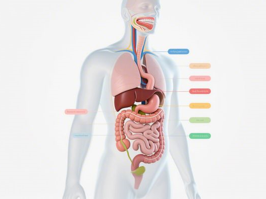 黄铜米缸使用禁忌_常见误区解析_正确摆放与养护指南