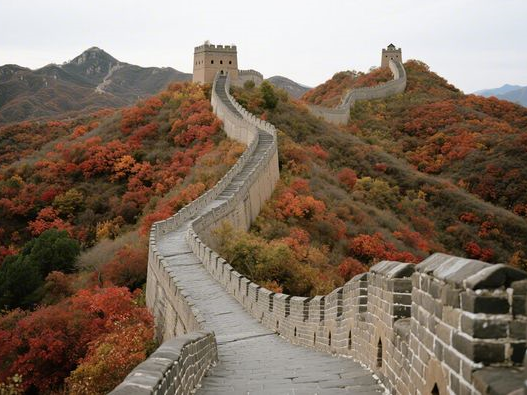 黑紫色染出为什么黑色彩原理揭秘调配技巧与解决方案