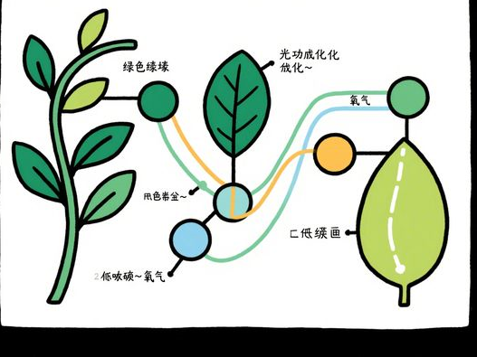 黄金涨跌对股市有没有影响2025