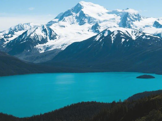 黑芝麻粉什么时间吃最好_早晚食用指南_提升吸收效率秘诀