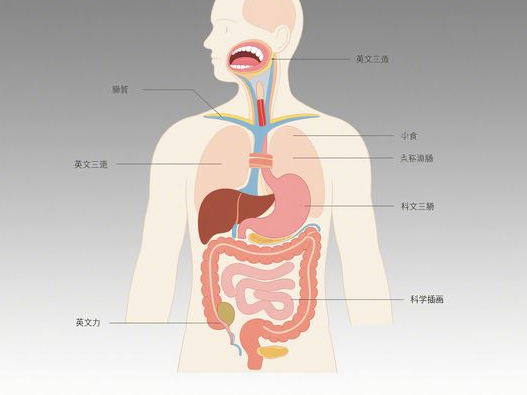 麦饭石锅哪个牌子好_选购技巧指南_品牌推荐与避坑