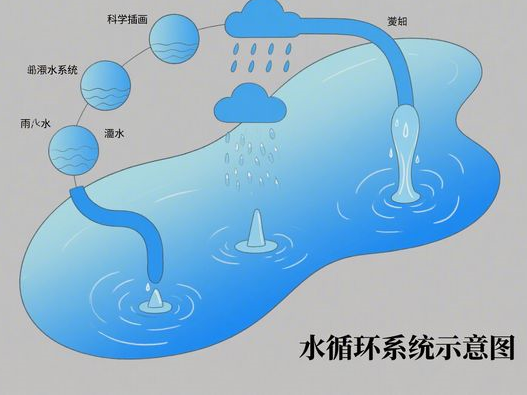 黑美人瓜比较硬能不能吃_判断生熟技巧_2025实用指南