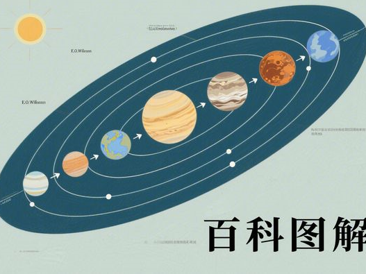 麦麦夜小堡多少钱一份_夜市新品_价格口味全解析